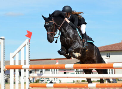 3 critères essentiels pour dénicher le parfait pantalon d’équitation