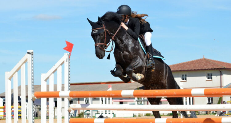 3 critères essentiels pour dénicher le parfait pantalon d’équitation