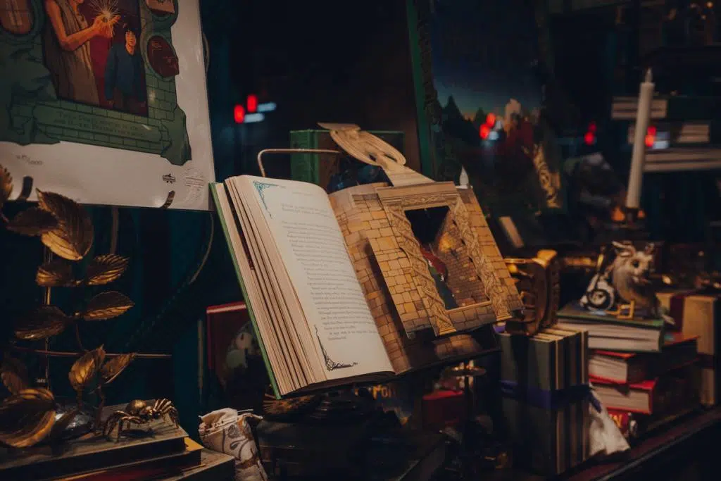 livre Harry Potter offrir fan