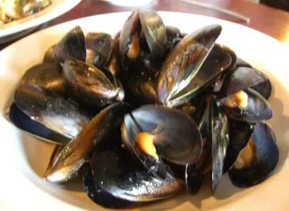 Chilli Mussels - Attitudes