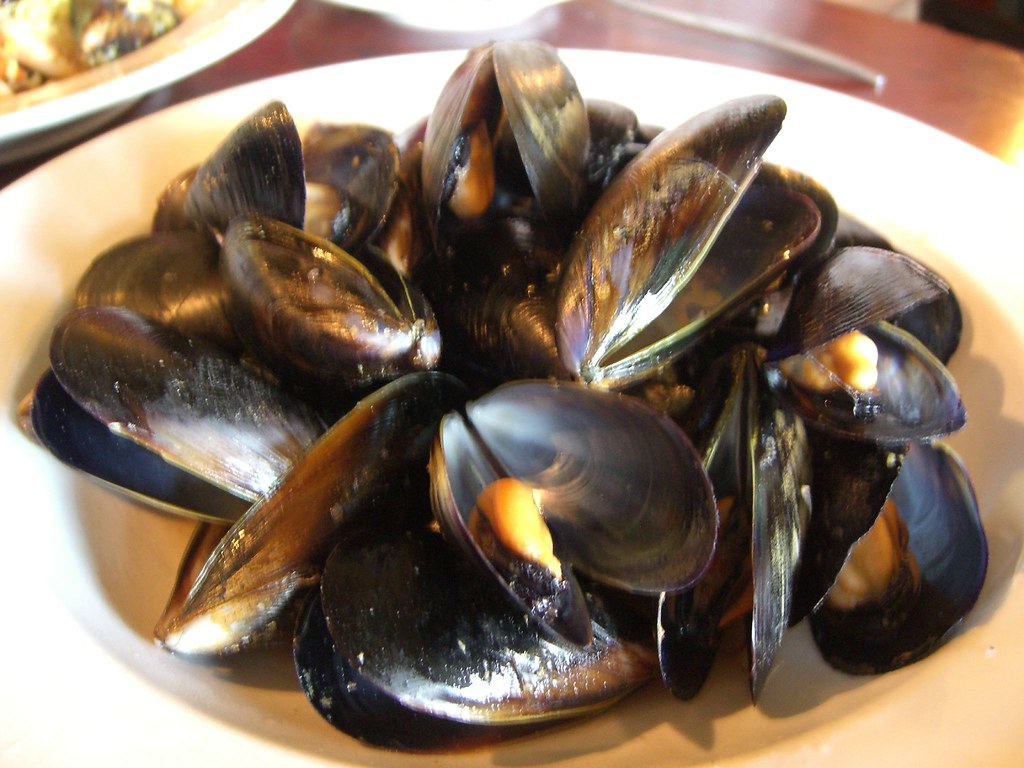 Chilli Mussels - Attitudes