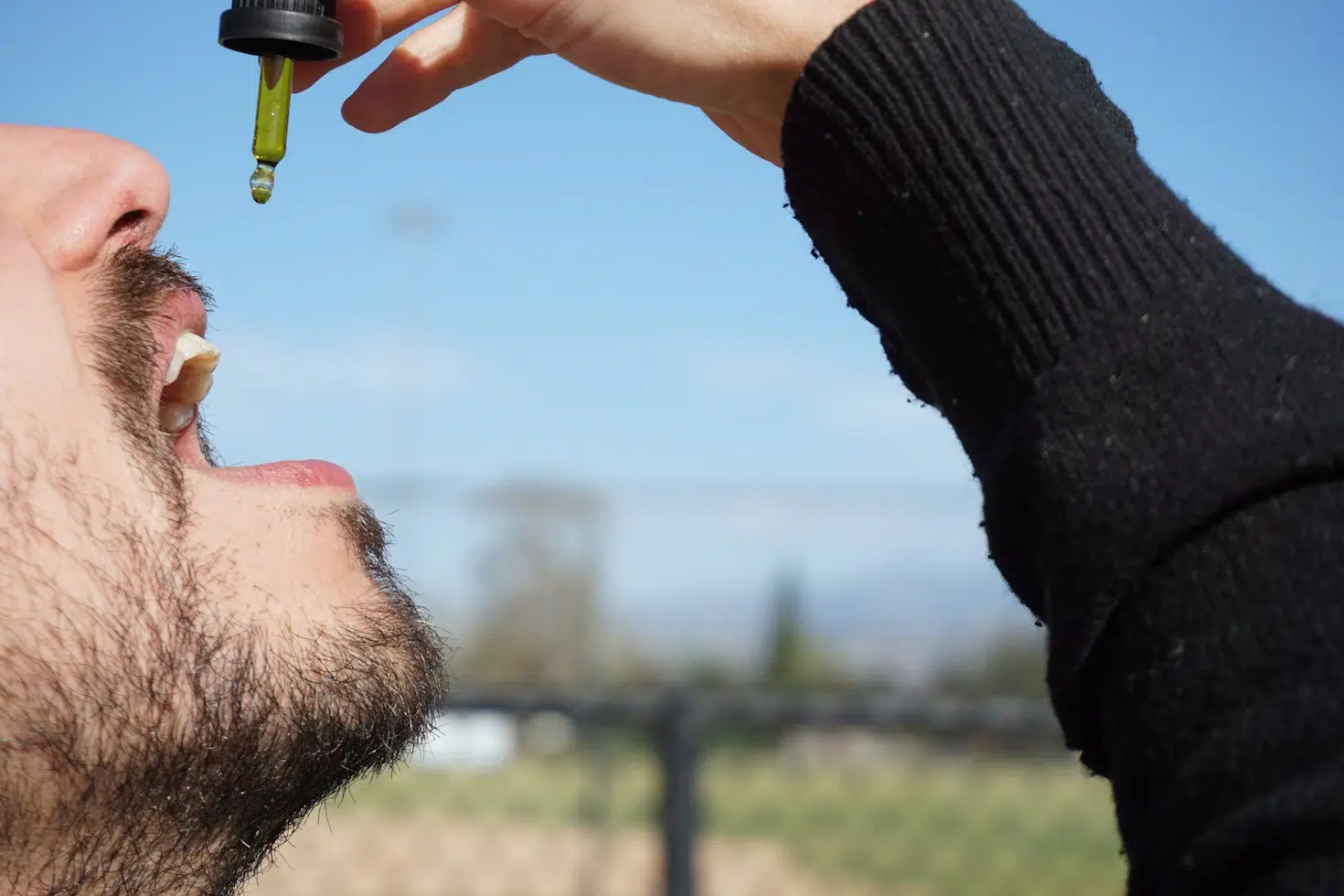 CBD sans THC