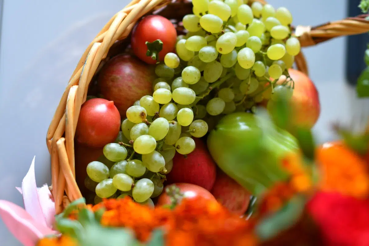 Corbeille de fruits design