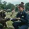 Formation soigneur animalier en parc zoologique : un parcours exceptionnel