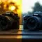 Formats DX vs FX Nikon : comment votre choix impacte-t-il vos objectifs ?