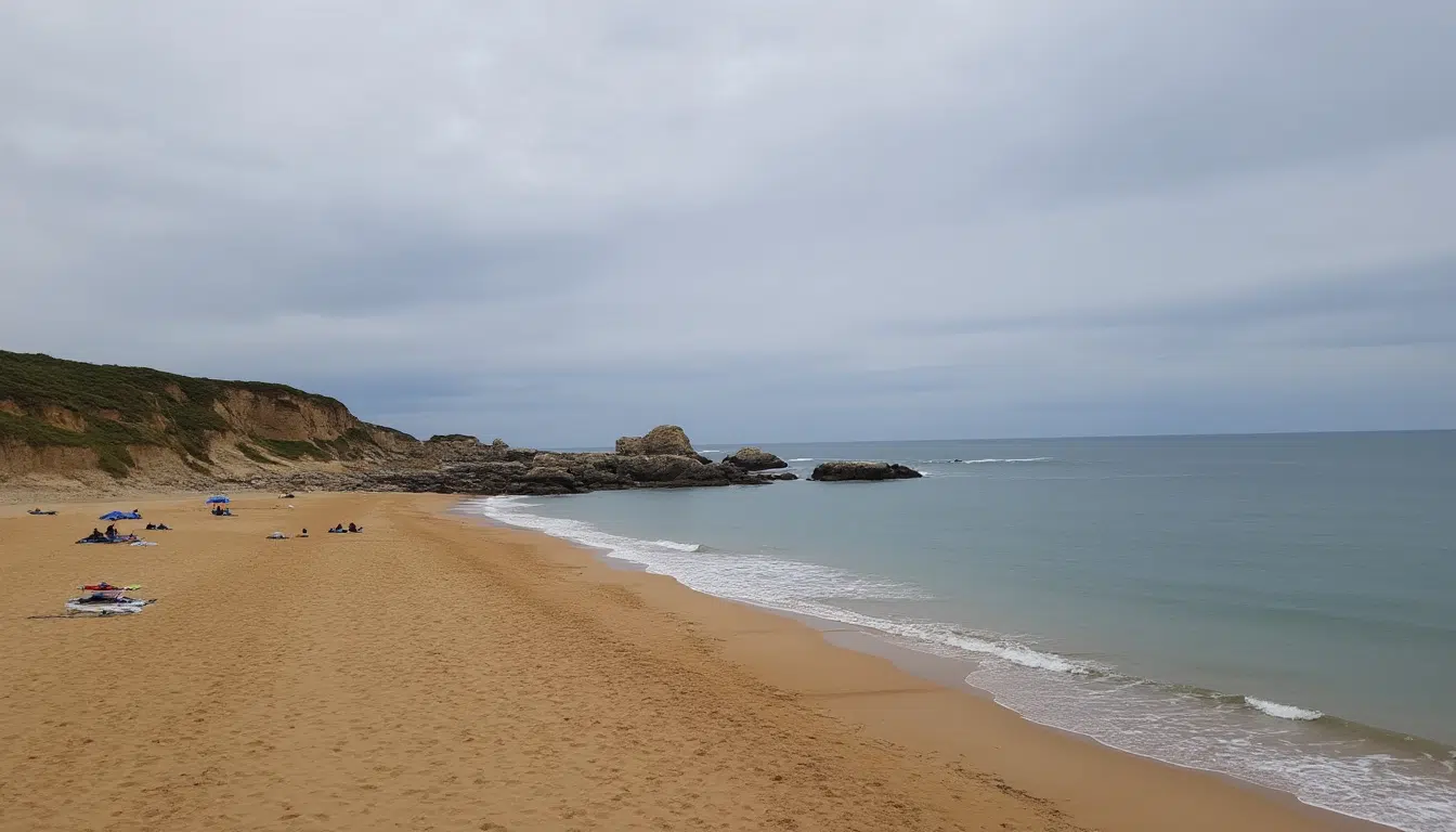 découvrez la webcam de sciotot, un indispensable pour les photographes débutants. capturez des paysages époustouflants et améliorez vos compétences en photographie grâce à cet outil performant et accessible. parfait pour immortaliser vos créations et partager votre passion.