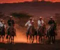 Les sabaneros : les cowboys des plaines du Guanacaste au Costa Rica