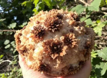 découvrez notre comparatif des meilleurs sites de locations de vacances à gordes pour trouver l'offre idéale et profiter d'un séjour inoubliable au cœur du luberon.