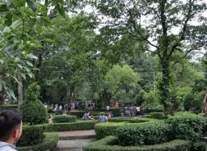 découvrez pourquoi une gestion efficace des notes de frais est essentielle pour préserver la santé financière de votre entreprise et optimiser vos dépenses.