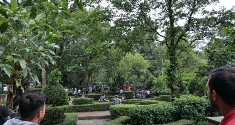 découvrez pourquoi une gestion efficace des notes de frais est essentielle pour préserver la santé financière de votre entreprise et optimiser vos dépenses.