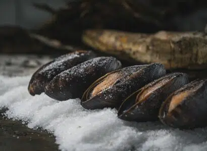 Saison des moules en Normandie : une expérience gustative à partager