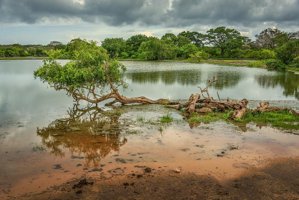 Sri Lanka