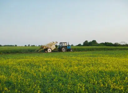 dosage glyphosate