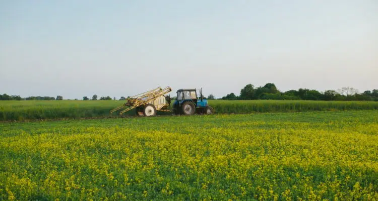 dosage glyphosate