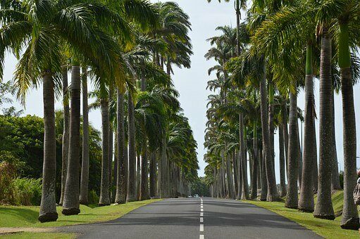 la Guadeloupe