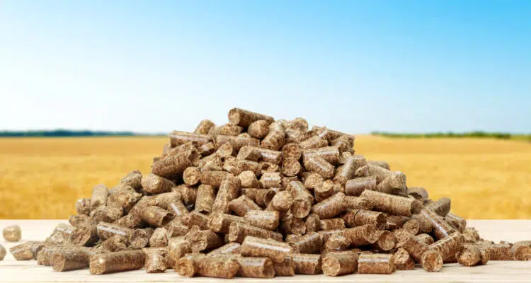 achat pellet
