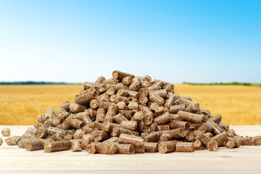 achat pellet