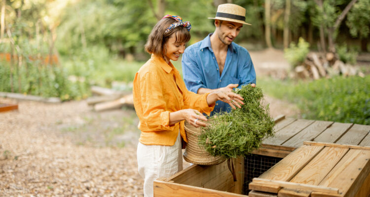 activateur compost naturel