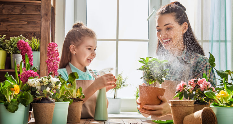 aménager un jardin