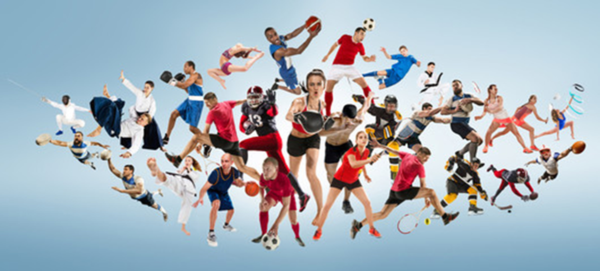 application paris sportifs