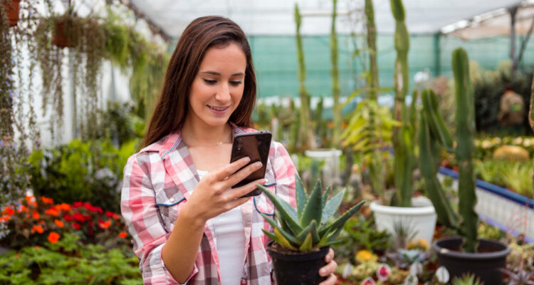 application plante