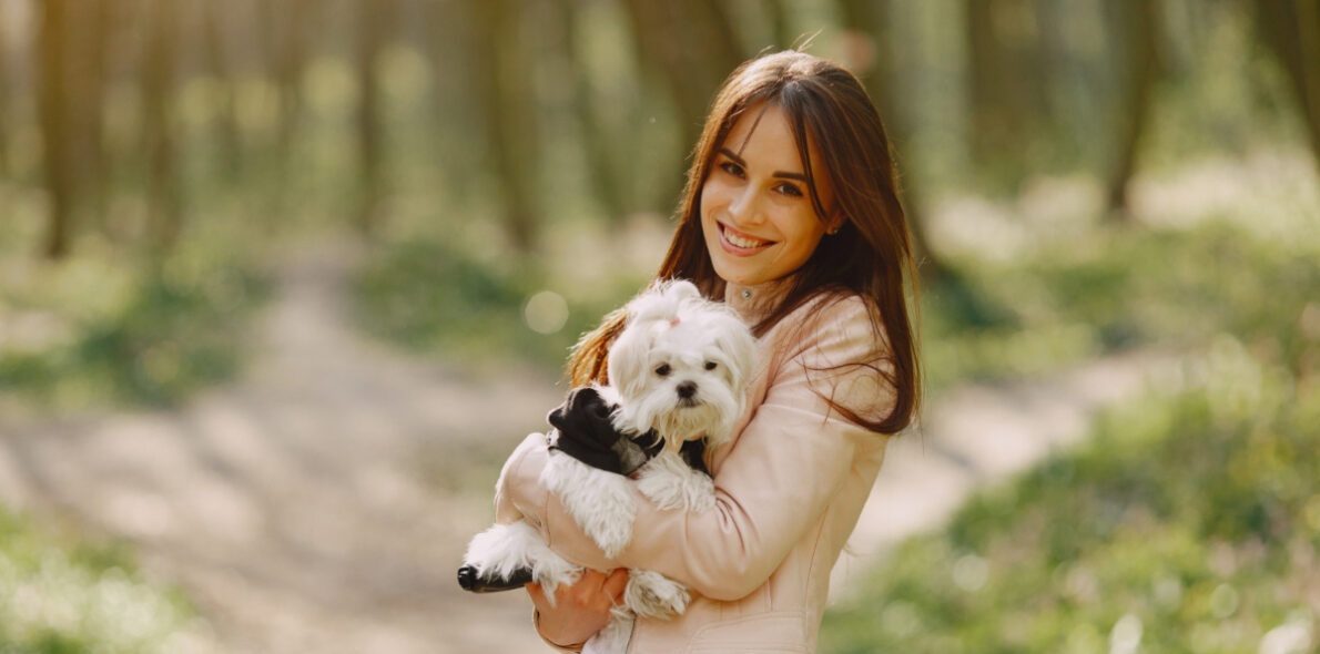 assurance chien