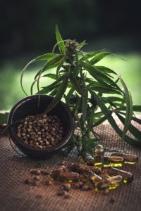 bienfaits fleur de cannabis CBD