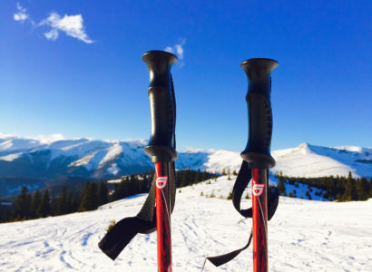 bâtons de ski