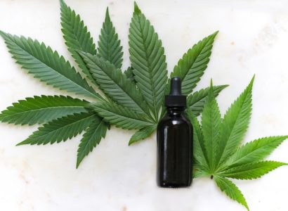 cannabis cbd pour lutter contre le thc