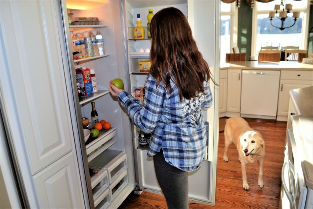 choisir un réfrigérateur