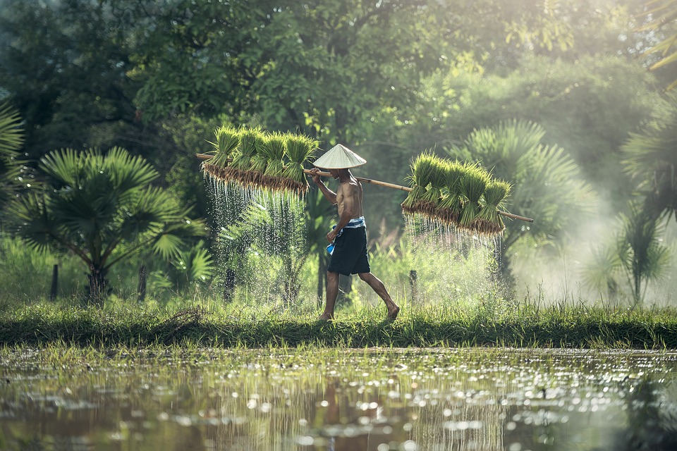 Cambodge