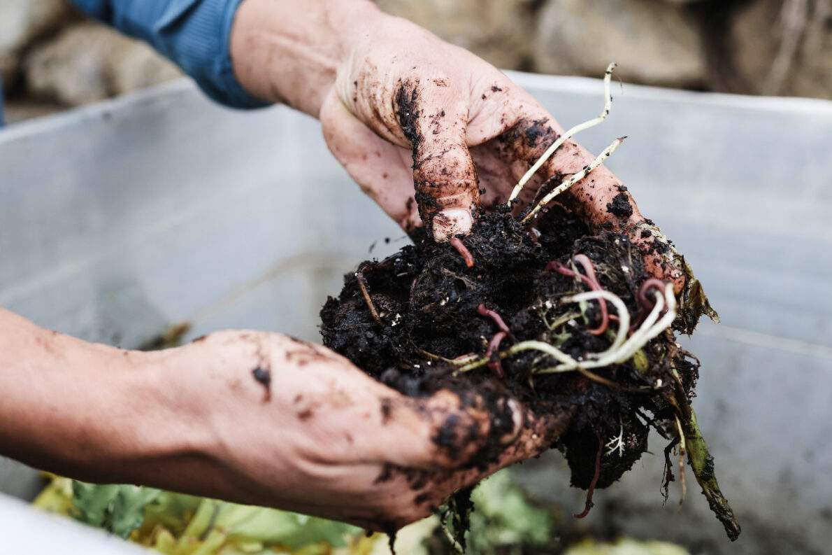 compost naturel