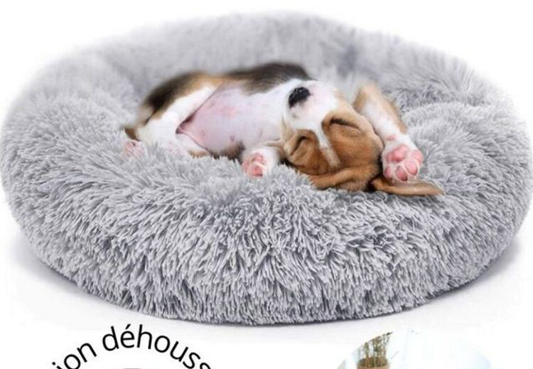couchage chien