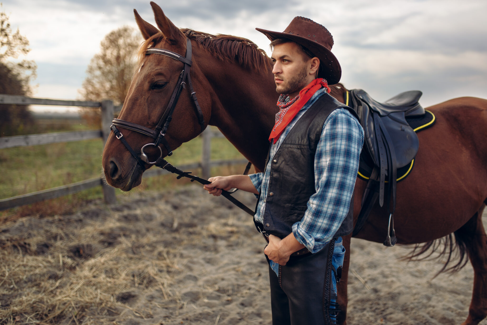 Cowboy