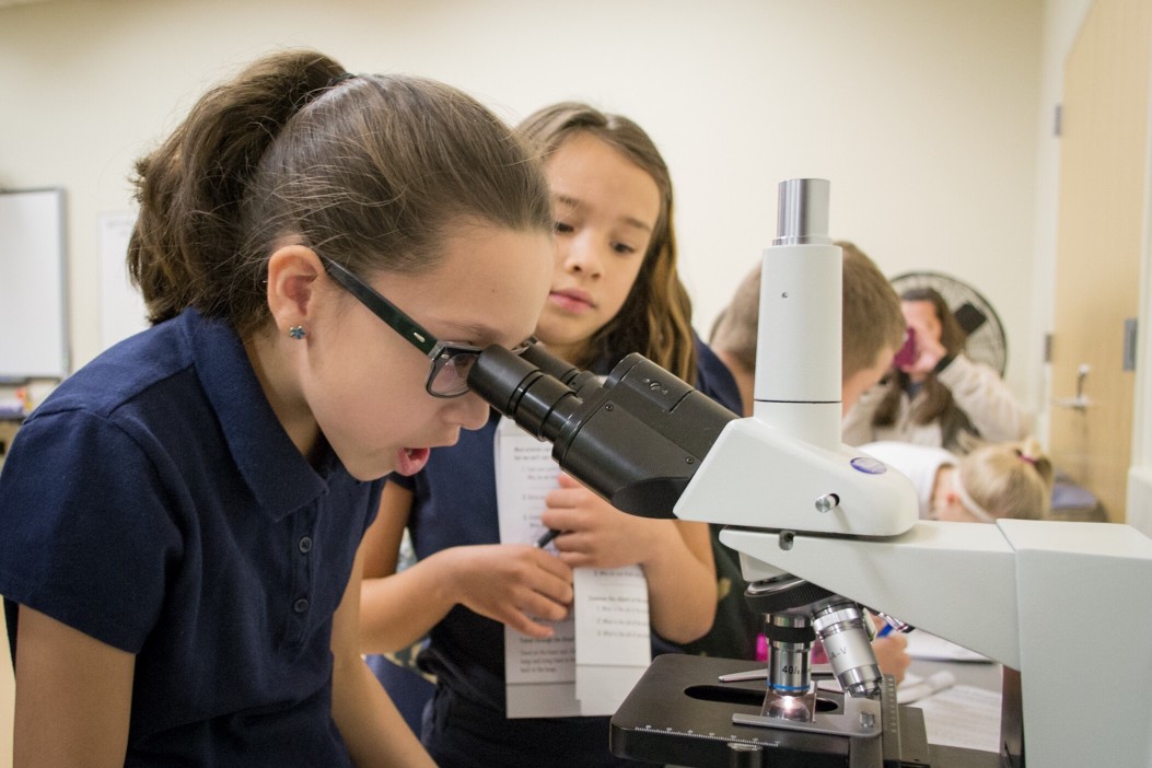 enseigner les sciences