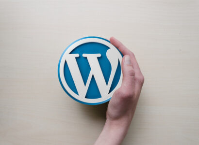 formation WordPress