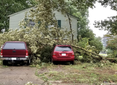 garder une voiture propre