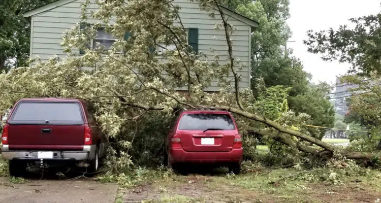 garder une voiture propre