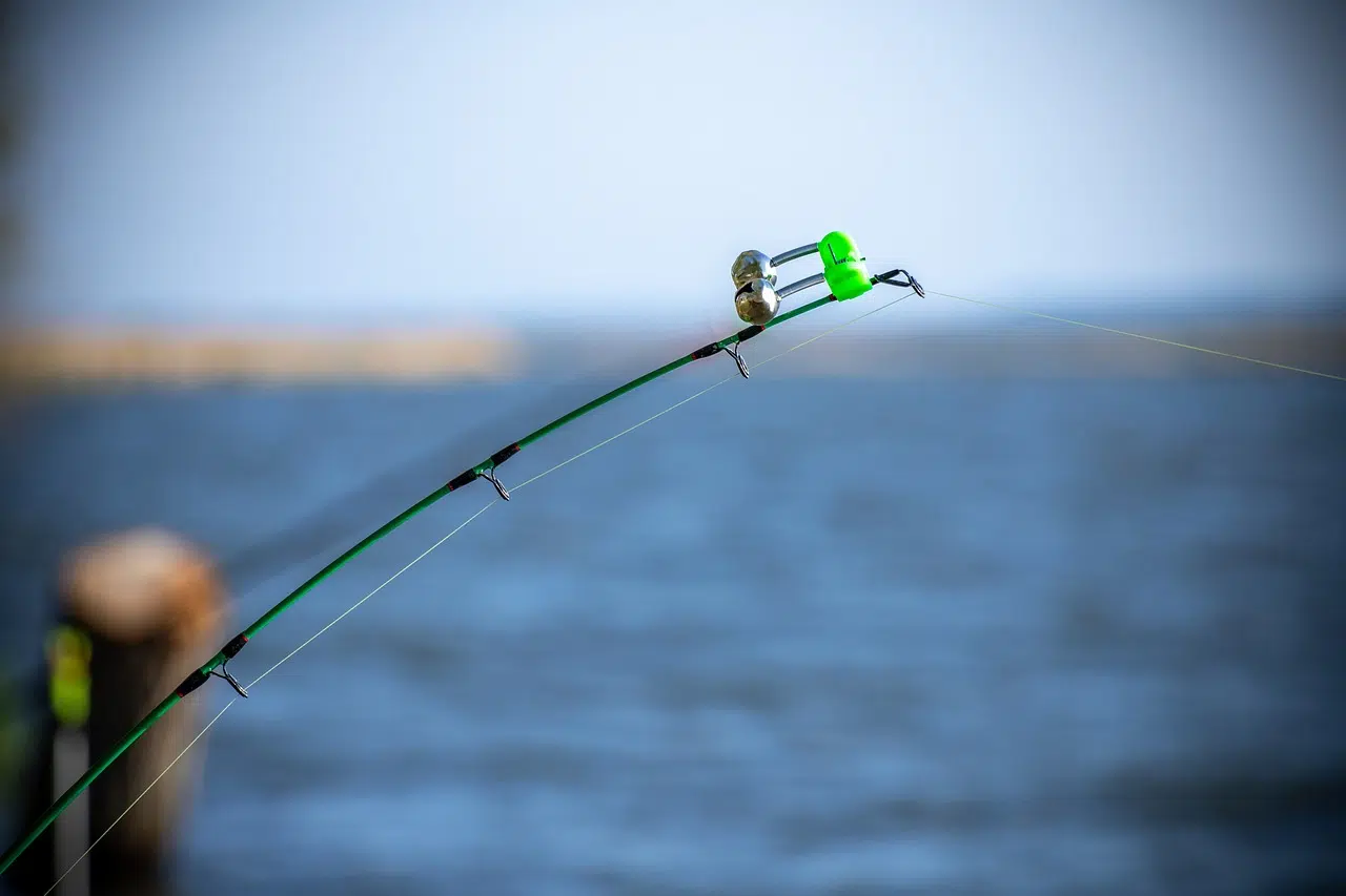 guide ultime pêche