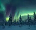 La lumière bleutée de l’hiver polaire en Laponie : immersion dans la magie boréale