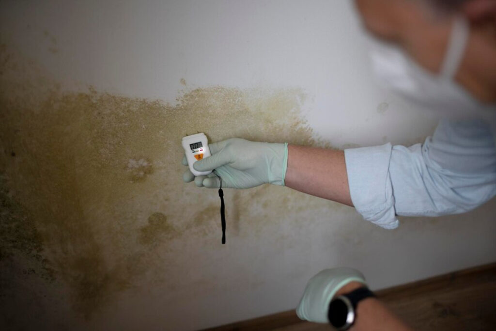 Comment choisir le bon traitement contre l'humidité pour votre maison