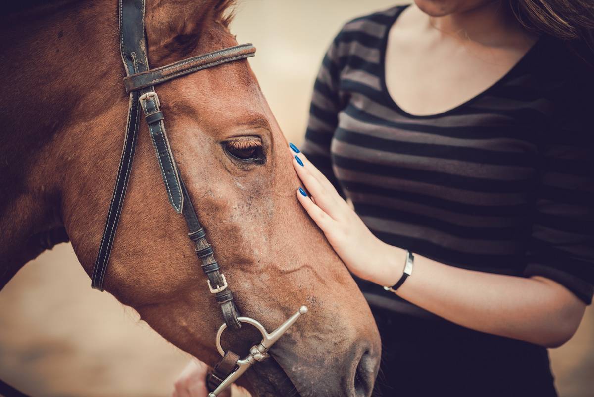 Sac à foin pour cheval