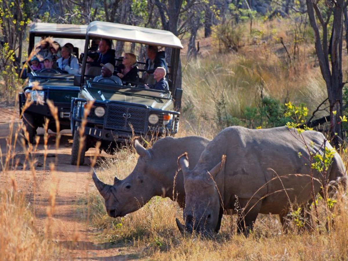 immersion touristique en Afrique