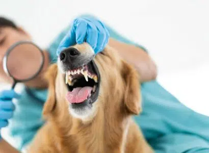 indicateur de santé à ne pas négliger