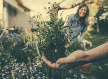 jardinage planter