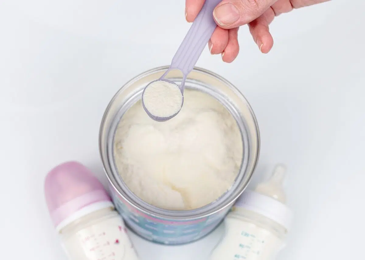 lait en poudre