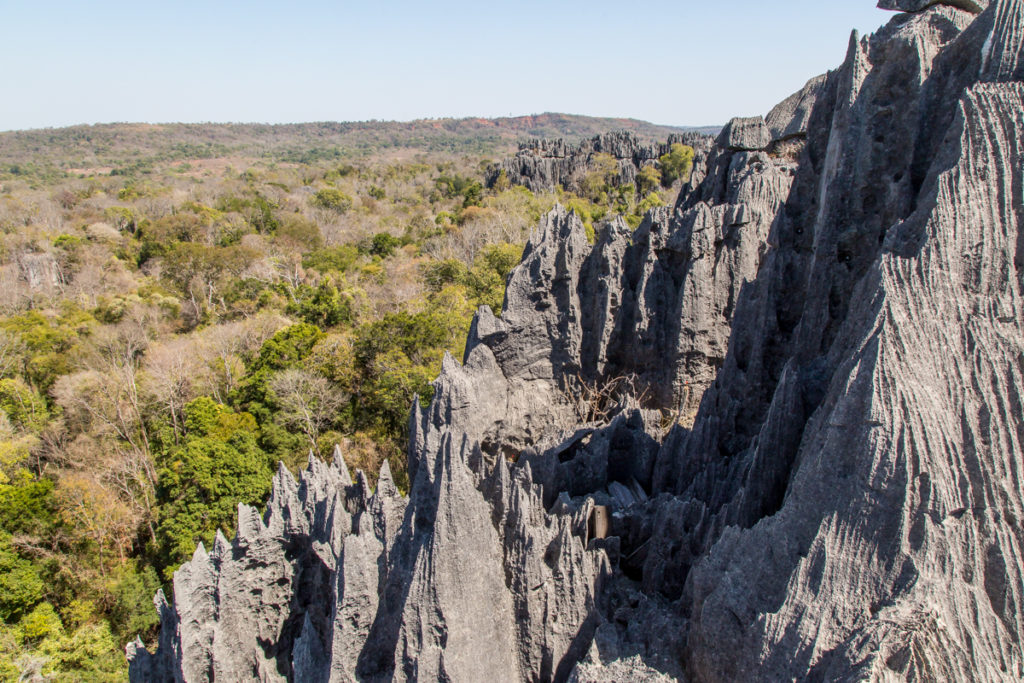 aventure dans les tsingy de bemaraha