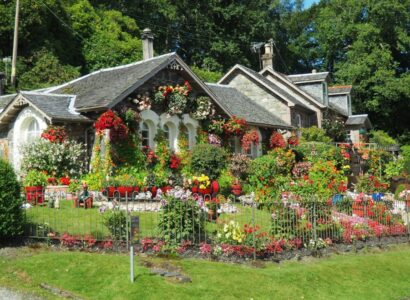 maison et jardin fleuris