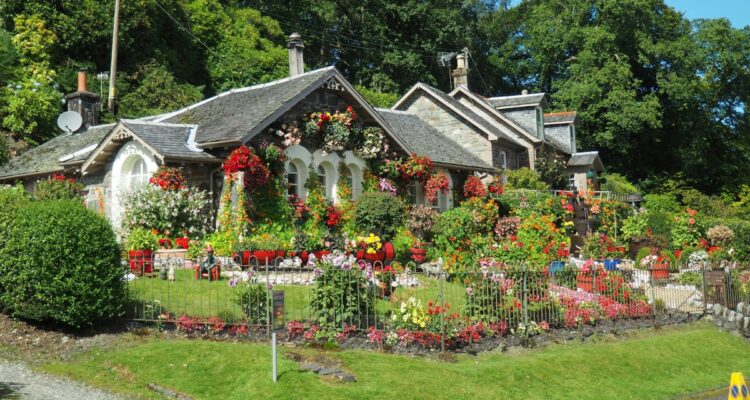 maison et jardin fleuris