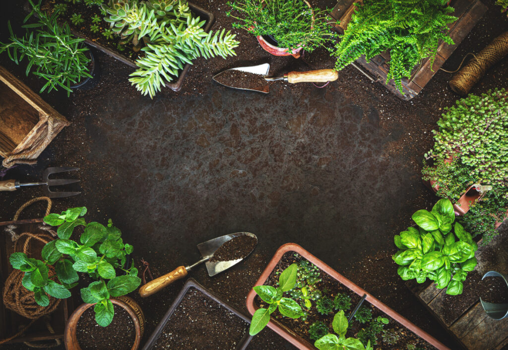 merveilleux endroit jardin